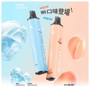 【南極冰】KIS5一次性6500口拋棄式電子煙｜雙口味磁吸版｜18種風味自由混搭