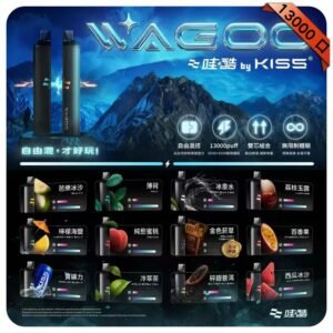 哇酷WAGOO & KIS5拋棄式6500口雙芯雙倉一次性電子煙｜雙口味混搭